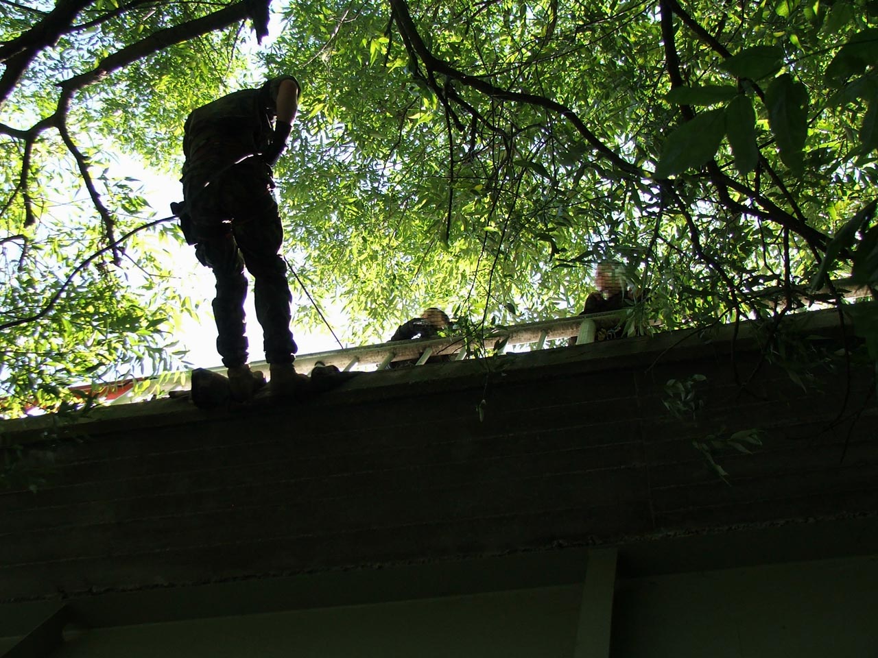 DSCF5982.jpg